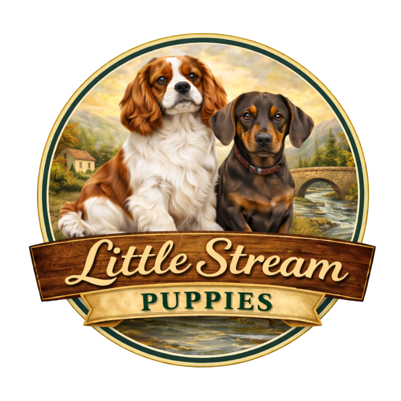 Little Stream Puppies Logo
