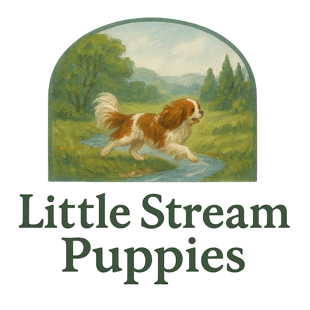 Little Stream Puppies